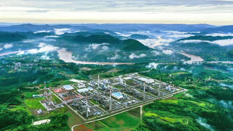 4607b263003349a5137b53c29e6f23a.jpg 4607b263003349a5137b53c29e6f23a.jpg