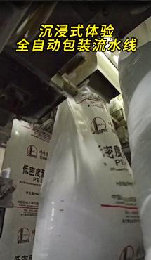 沉浸式体验全自动包装流水线
