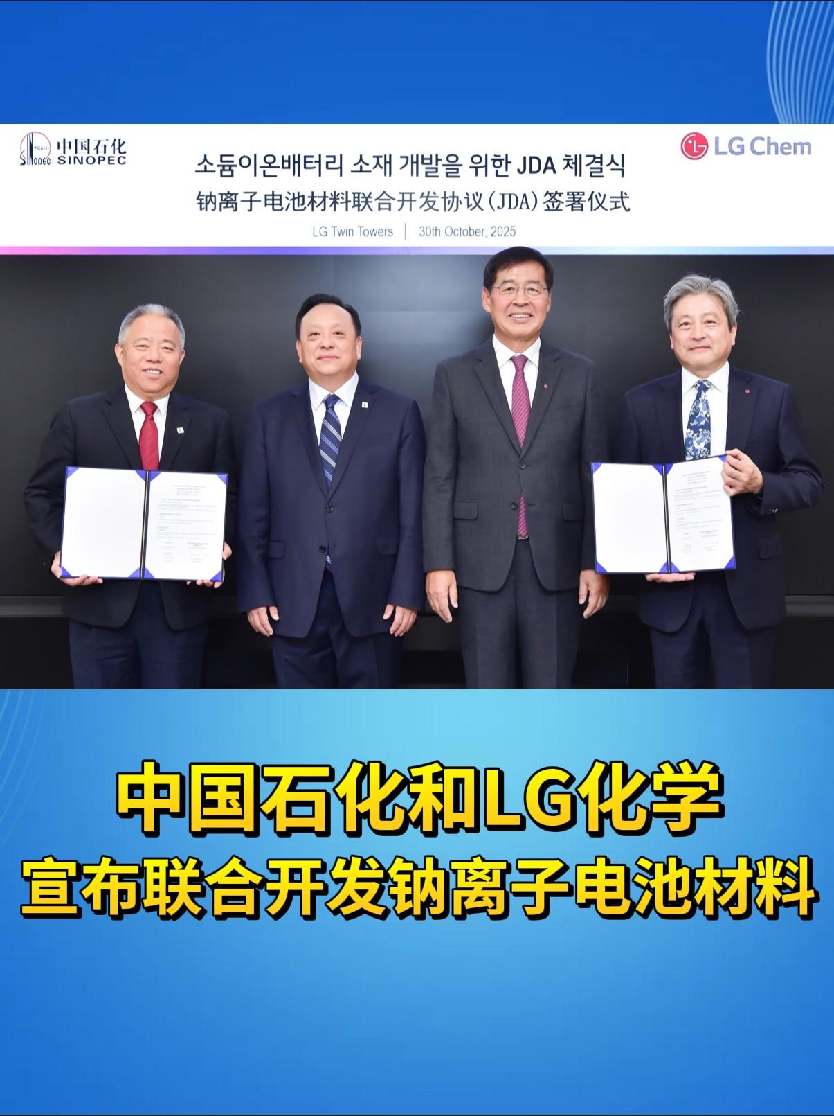 中国石化和LG化学宣布联合开发钠离子电池材料