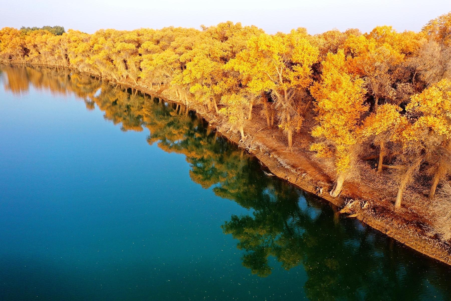 向前有太阳，向后有月光