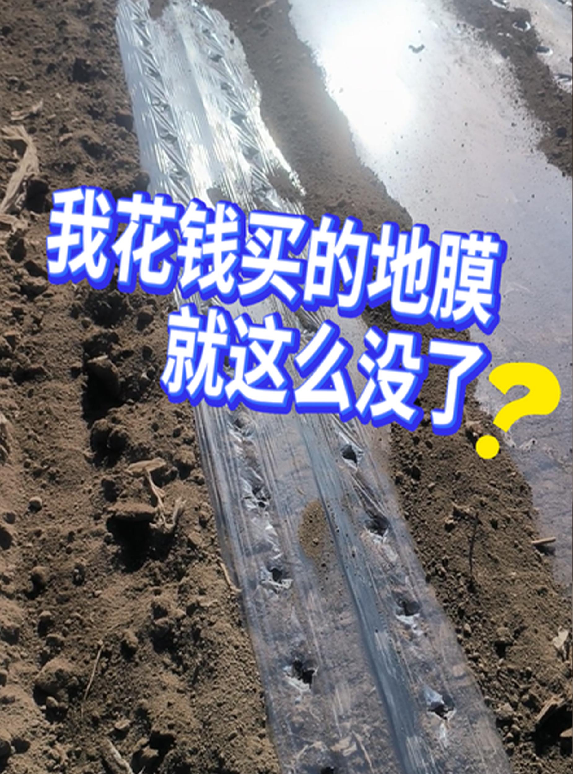 我花钱买的地膜就这么没了？