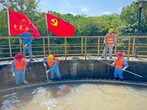 扬子石化党员突击队开展专项清理行动