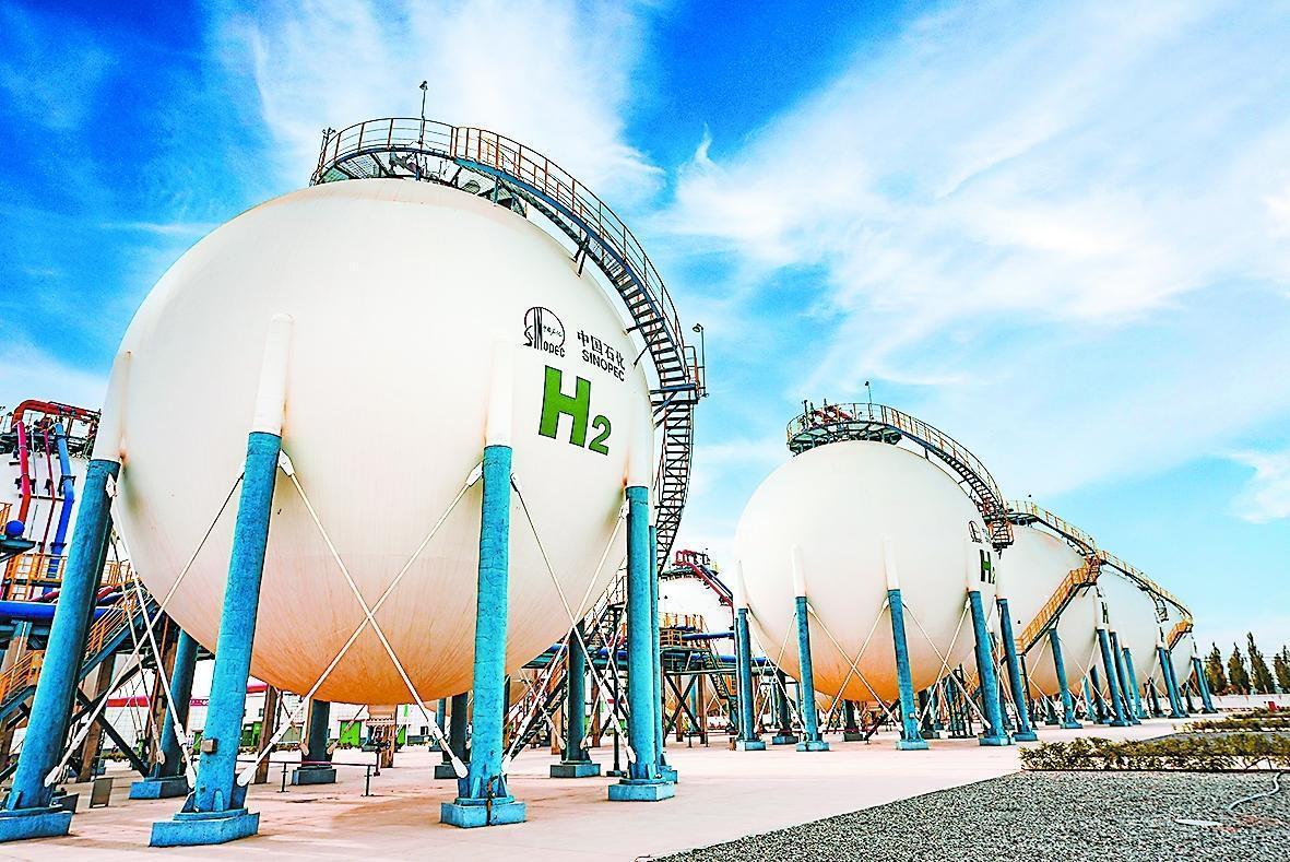 守护锦绣河山 坚定逐绿前行(图8)