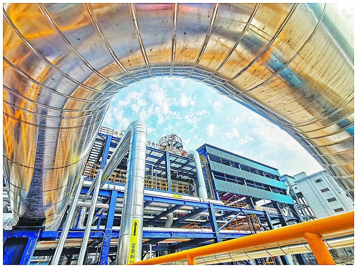 守护锦绣河山 坚定逐绿前行(图6)