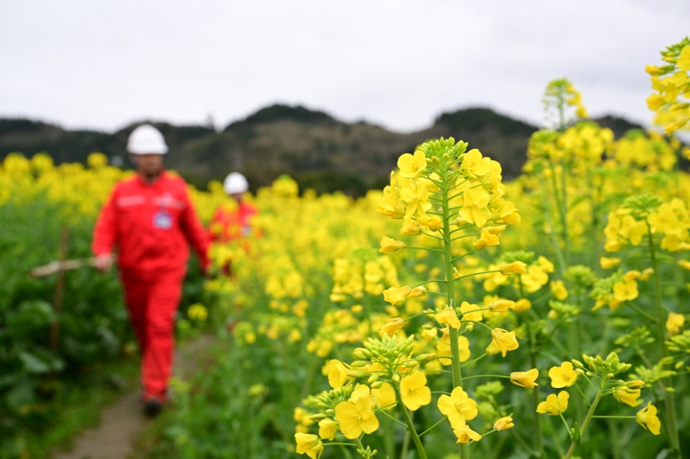 南川常压页岩气田员工对输气管线进行月度巡检。
